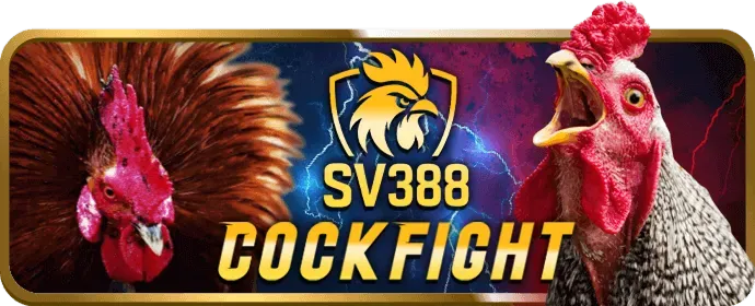 Cá cược quần vợt tại hii88 win